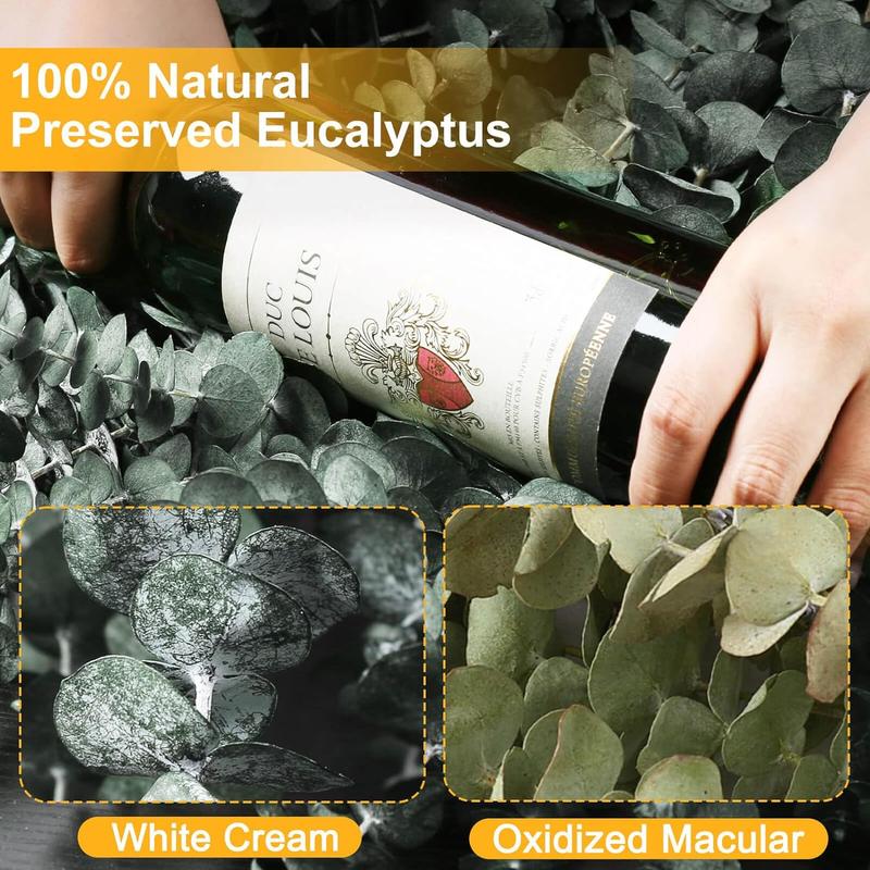 12 PCS Dried Eucalyptus Bundle for Shower - 17