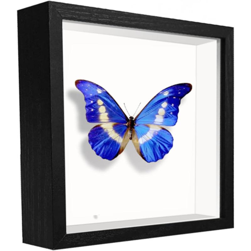 Small Shadow Box Frame 5x5, Wood with glass, Display Case Box for Memorabilia, Medal, Crafts,Tickets and Photos, Picture Frame for Wall and Tabletop (Black, 5x5)