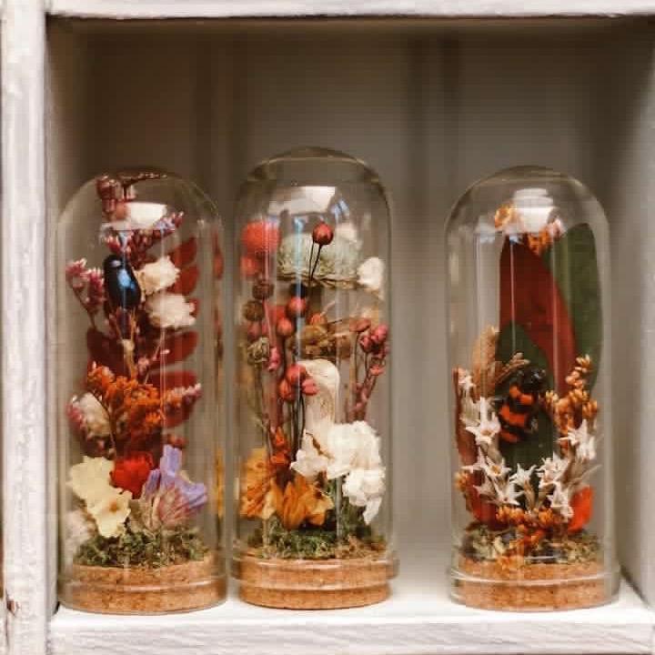 Handmade Glass Miniature 3in. Terrariums