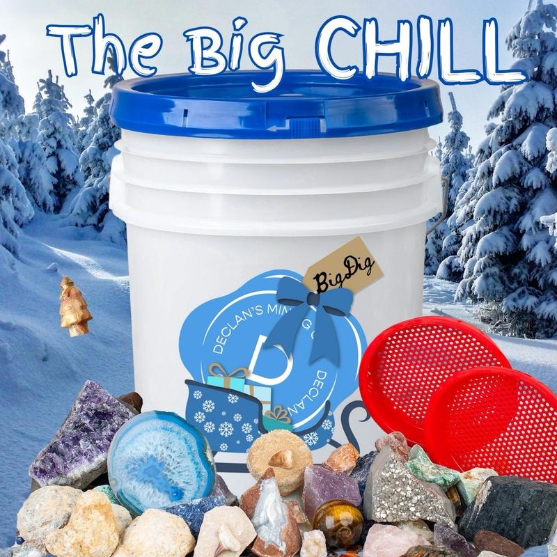 The Big Chill- 5 Gallon Mining Bucket filled with tumbles , raw, fossils , two sifters and more Tree