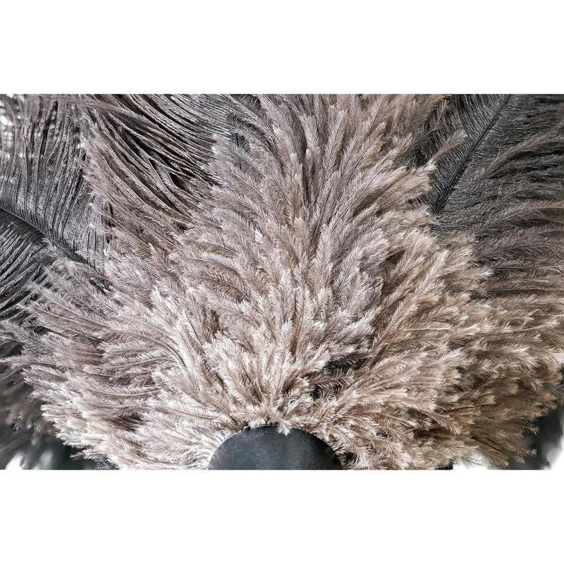 Premium Genuine Ostrich Feather Duster, 14