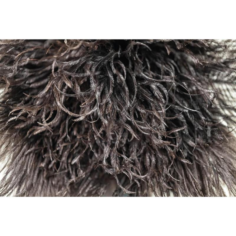 Premium Genuine Ostrich Feather Duster, 14