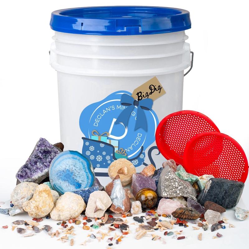 The Big Chill- 5 Gallon Mining Bucket filled with tumbles , raw, fossils , two sifters and more Tree