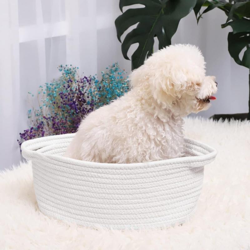 Cute Small Woven Basket with Handles, 12