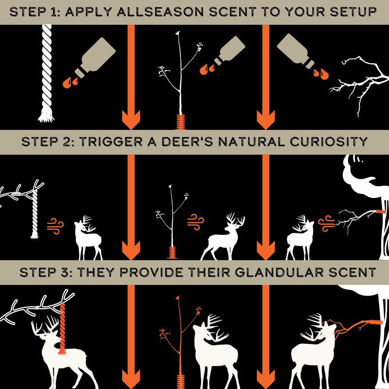 HODAG AllSeason Scent (8oz) - Jumpstart Deer Interaction - Deer Hunting Accessories - Deer Hunting Gear - Trail Camera Accessory - Bow Hunting Accessories - Deer Hunting Gifts