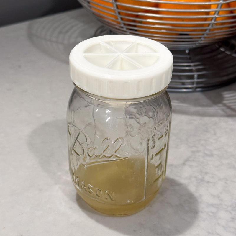 MASON JAR Fruit Fly Catcher Lid with Large Opening for Standard 2.75