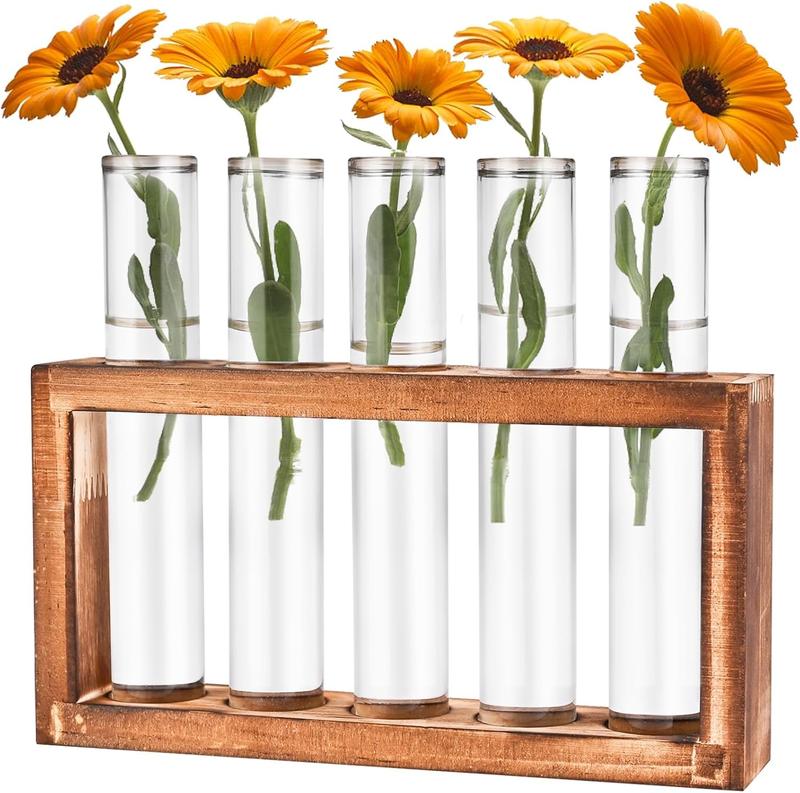 Desktop Glass Plant Propagation Station with 5 Test Tubes in Wooden Stand Hydroponic Plants Cutting Office Home Decoration Terrarium