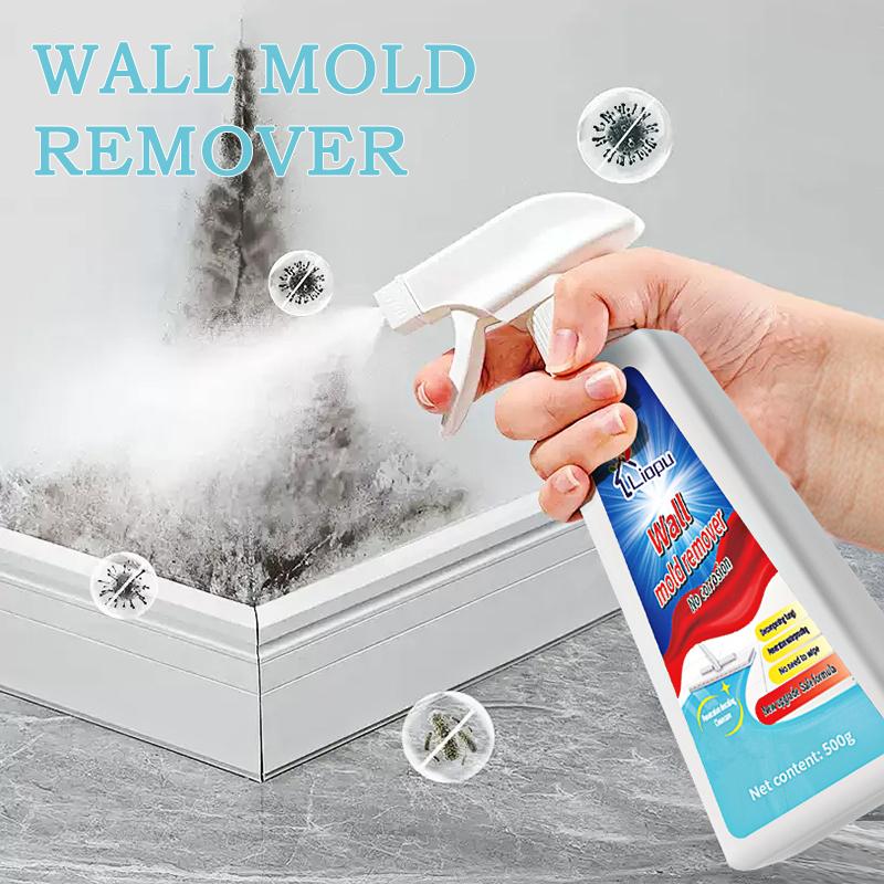 Quick Foam Mold Remover for Kitchen Bathroom Household Mold Remover Spray for removing all kinds of mold and mildew（500g）