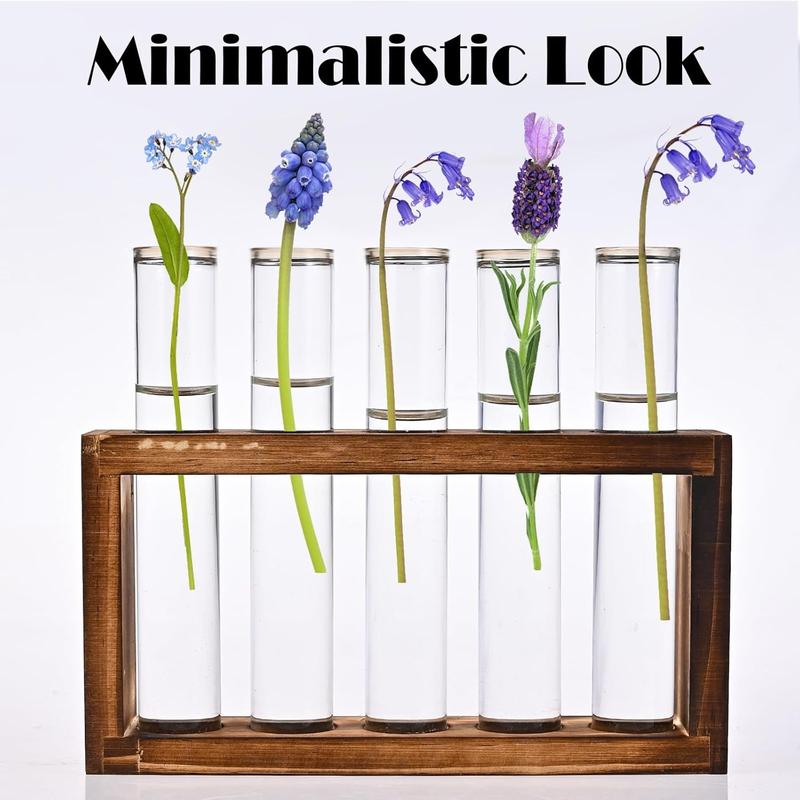 Desktop Glass Plant Propagation Station with 5 Test Tubes in Wooden Stand Hydroponic Plants Cutting Office Home Decoration Terrarium