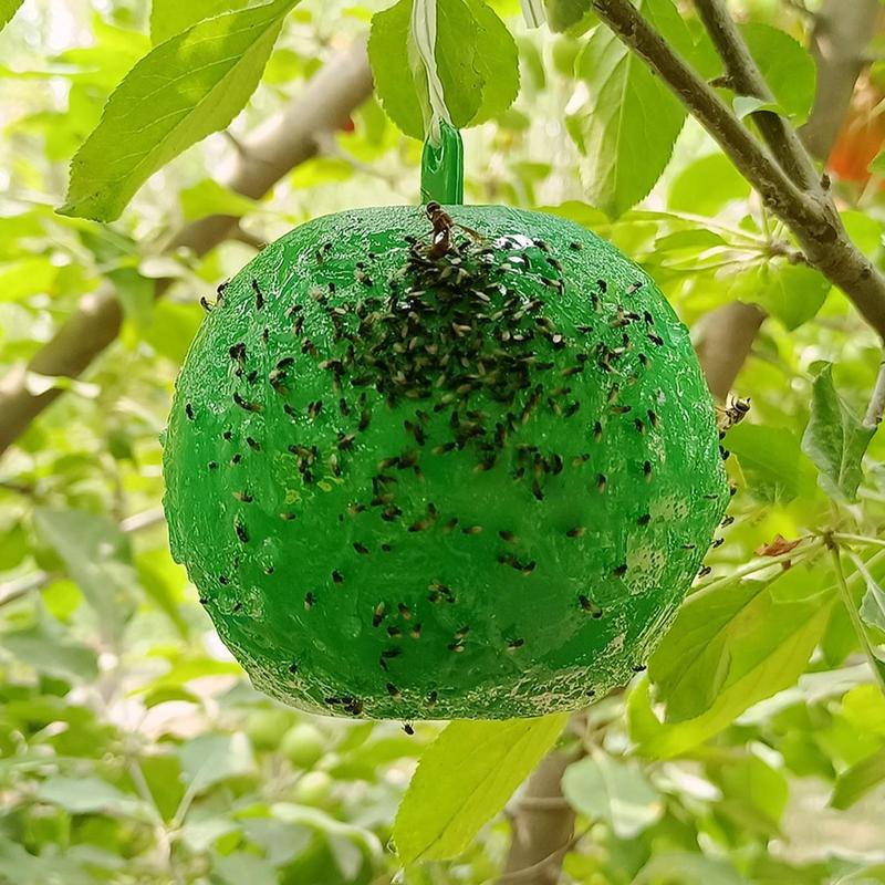 Fruit Fly Trap Ball, Fruit Tree Fly Trap, PVC Fruit Fly Ball, Insect Trap Ball, Garden Insect Control Tool for Home Garden