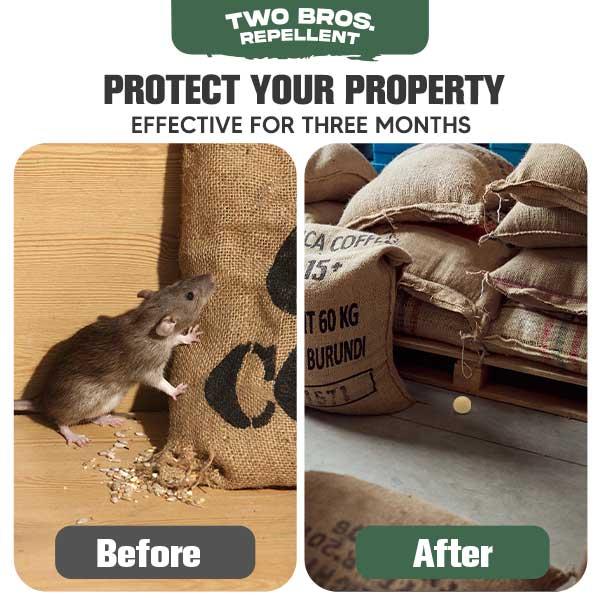 Rodent Mouse Repellents, Peppermint Oil to Repel Mice and Rats, Pest Away Repellent for Indoors Outdoor, 8P, Black Plant