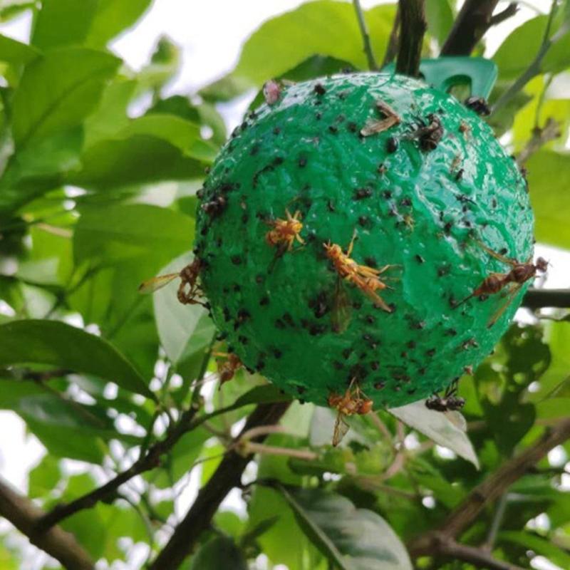 Fruit Fly Trap Ball, Fruit Tree Fly Trap, PVC Fruit Fly Ball, Insect Trap Ball, Garden Insect Control Tool for Home Garden