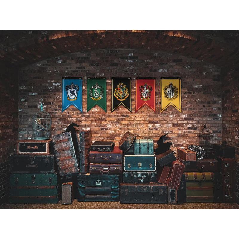 Harry Potter Wizarding House Banner Flag Set (12'' x 20'')