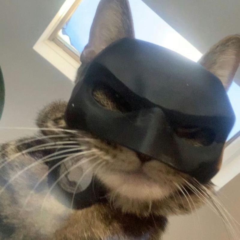 Batman: 3D Printed Cat Mask! Accessories Lightweight Matte Accessory Comfortable