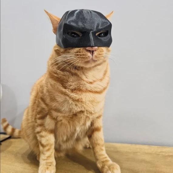 Batman: 3D Printed Cat Mask! Accessories Lightweight Matte Accessory Comfortable