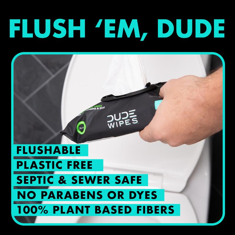 DUDE Flushable Wipes, Extra Large Mint Chill Wet Wipes, 48 Count, 5 Pack (240 Total)