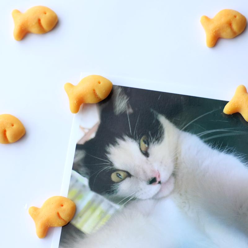 Goldfish Fridge Magnets Magnet Set of 6 Pcs, Cool Gift