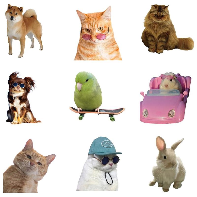 Animal Series Sticker, 50pcs set Waterproof Self Adhesive Decor Paper, Decor Sticker for Gift Greeting Card & Water Bottle & Laptop & Phone