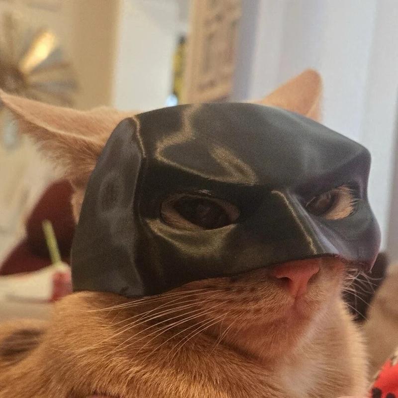 Batman: 3D Printed Cat Mask! Accessories Lightweight Matte Accessory Comfortable