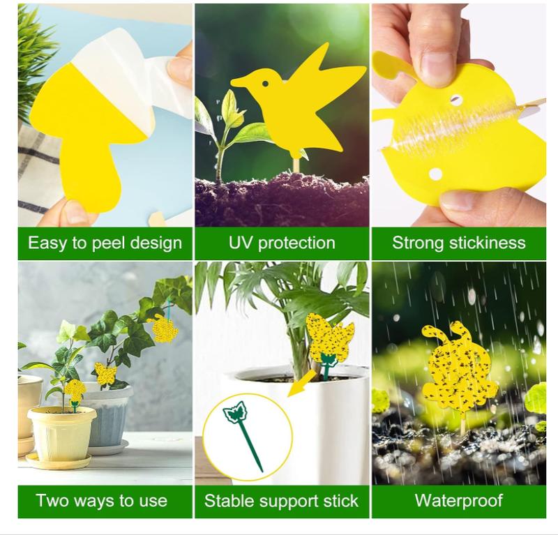 60 Pack Fruit Fly Traps for Indoors Gnat Killer Indoor Yellow Sticky Traps Fungus Gnat Sticky Traps, Gnat Traps for House Indoor, Bug Plant Trap