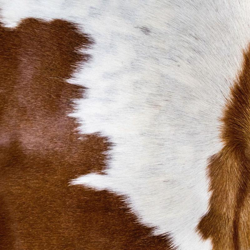 Western Brown and white Cowprint Shower Curtain Farmhouse Boho Bathroom Curtain Decor Modern Rodeo Cowgirl Style Bathroom decor Cowhide