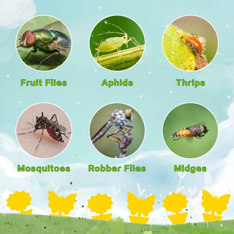 Fruit Fly Traps Fungus Gnat Traps Yellow Sticky Bug Traps 36 Pack Non-Toxic and Odorless for Indoor Outdoor Use Protect The Plant