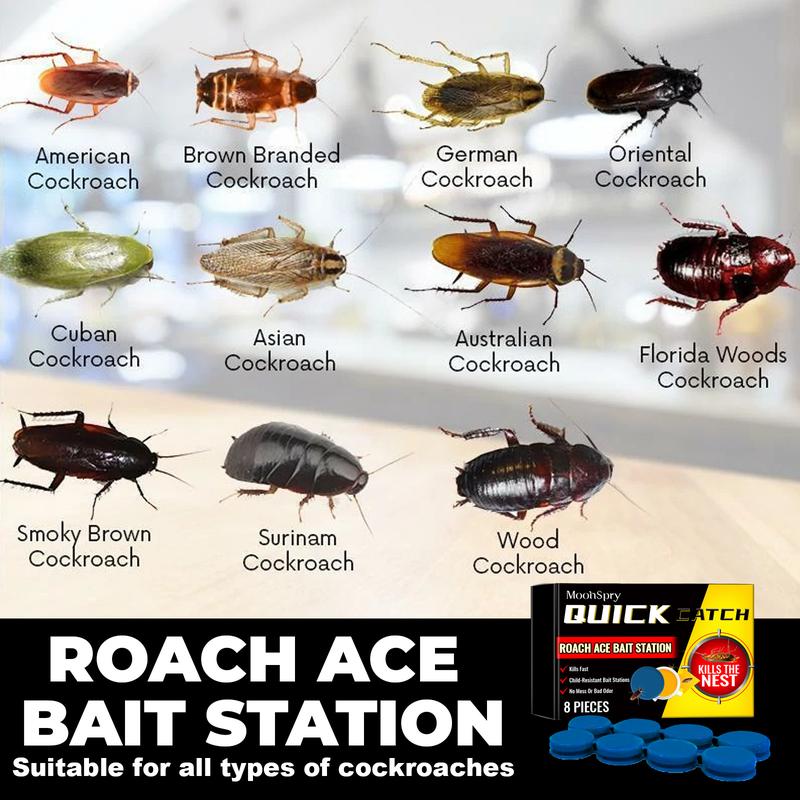 Cockroach bait station Insect repellent Cockroach bait kitchen home cockroach eradication whole nest end cleaner