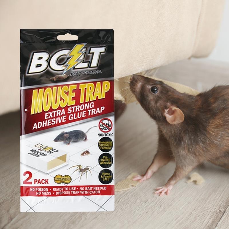 10-Pack Bolt Mouse Trap with Extra Strong Adhesive Glue - Non-Toxic & Eco-Friendly Pest Control