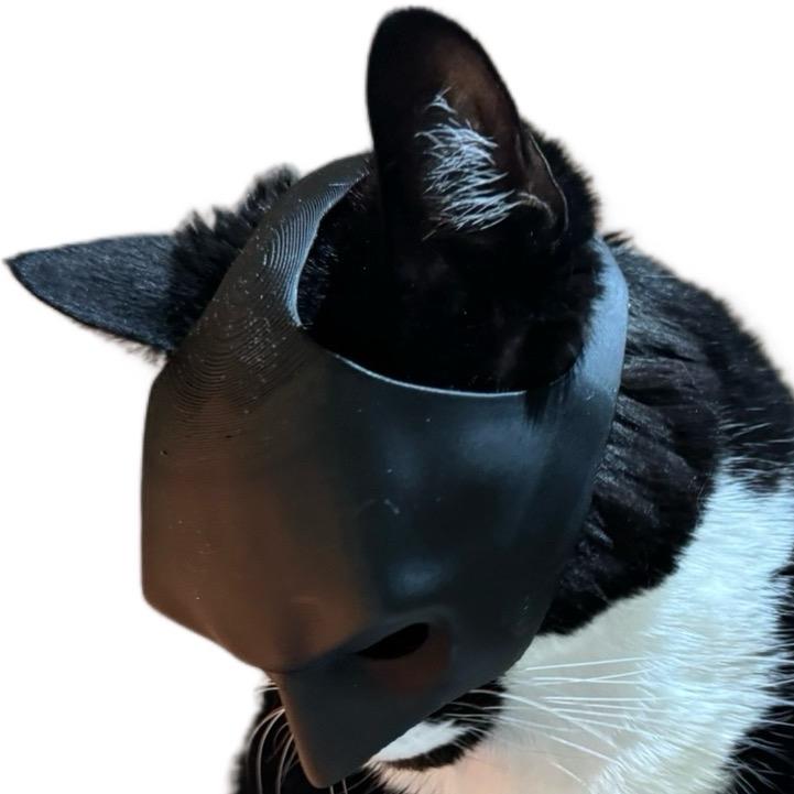 Bat Cat 3D Printed Mask for Cats - Fun and Interactive Accessory