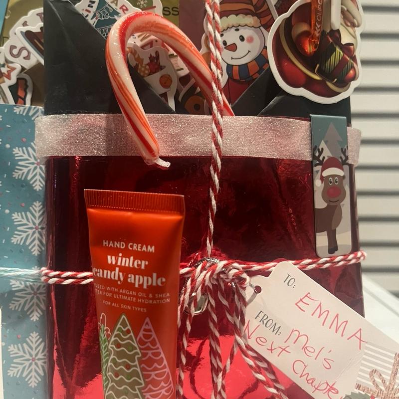 Blind Date with a Book - Christmas Holiday Themed with Seasonal Goodies