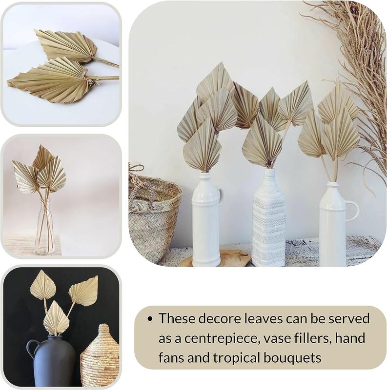 Greta Commerce Natural Dried Palm Leaves Pack of 12 Heart Oval Shape Dried Palm Spears for Wedding House Party Kitchen Decoration Indoor Outdoor Occasions Decorative Leaf Plants Gift Nature Vase Tropical Fruit Hand Photo Ornaments