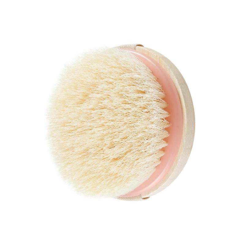 Dry Body Brush, for Post Shower & Bath Skincare Routine, Removes Dirt & Promotes Blood Circulation, Helps Reduce Appearance of Cellulite, Vegan & Cruelty-Free, 1 Count(Creative Life Pavilion) Accessories