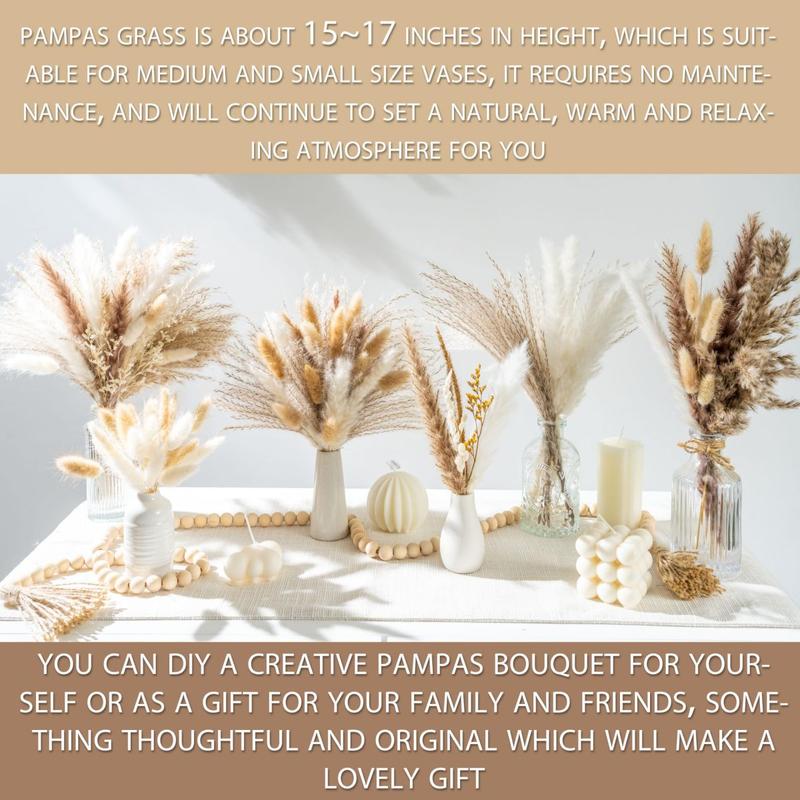 70PCS Natural Dried Pampas Grass Boho Home Decor Bouquet Phragmites Dried Flowers Bouquet for Wedding Floral Arrangements Home Decorations