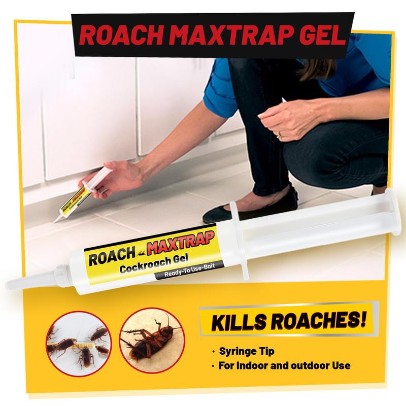 Jaysuing Cockroach Bait Gel - Effective Kitchen and Bedroom Cockroach Killer Agent