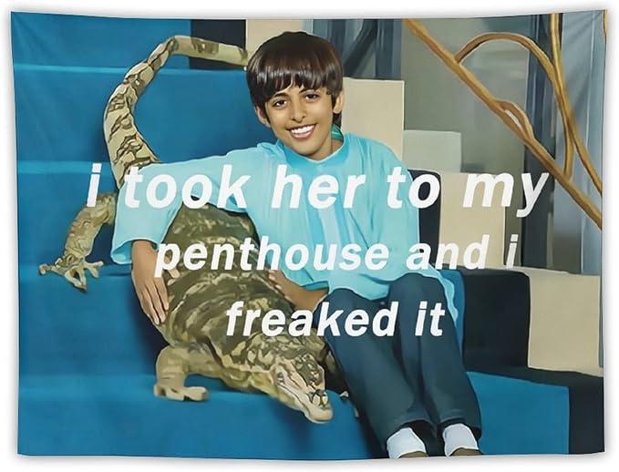 I Took Her To My Penthouse and I Freaked It Ravi 60*51in Tapestry for Bedroom Aesthetic, Funny and Meme Tapestries for College Dorm and Living Room