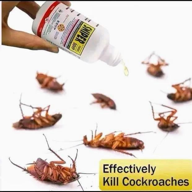 Cockroach Pest Control, Indoor and Outdoor Use, Cockroach Killer Gel 100ml for American, German and other major cockroach species