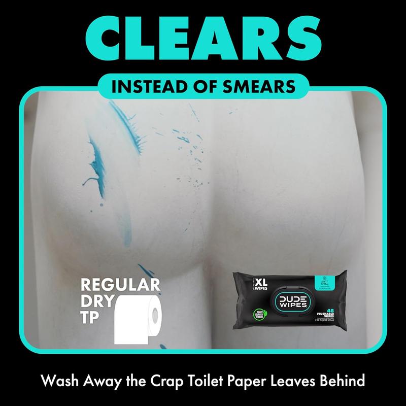 DUDE Wipes - Flushable Wipes 6 Pack, 288 Wipes - Mint Chill - Eucalyptus & Tea Tree Oil - Septic and Sewer Safe Cleans Better Than Toilet Paper